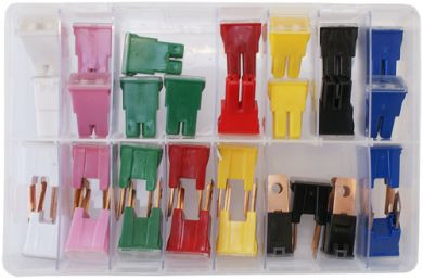 Assorted PAL Fuses (30 Pieces)