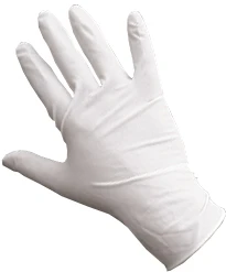 Latex Gloves Powder Free (Box of 100)