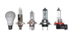 Auto Bulbs