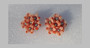 1950's Vintage Plastic Orange Flowers Clip Earrings  Lacy Petals AB rhinestone 2 Tone 3 Dimensional  Clip Ons