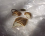 Jomaz Joseph Mazer Vintage Rhinestone Seashell Brooch Earrings Set 3D Gold Plated With Original Tag Shell Pin