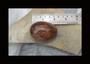 Rare 2~1/4" Rutilated Quartz Egg Fine Gold Rutile 118 Grams Crystal Ball Sphere
