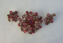 Exquisite SCHREINER Pink Rhinestone PIN EARRINGS Set  ART GLASS Stones 2 Di 4