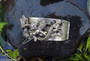 SUPER RARE pegagsus CORO STERLING SILVER HINGED BRACELET 3-D CHERUB 2 Die 4