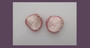 1950's Pink Plastic Earrings AB Rhinestones Marbled Frosty Pearly MOP Textured Coating