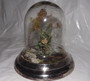 OOAK Leafy Fantasy Miniature Nature Fairy Sprite Sculpture in Garden~Glass Dome