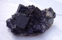 BIG Deep Purple Fluorite Cubes on Sphalerite Elmwood Mine Gorgeous!