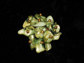 Early Miriam Haskell Avant Garde Seashell Pin Tightly Wired On Clustered Shells