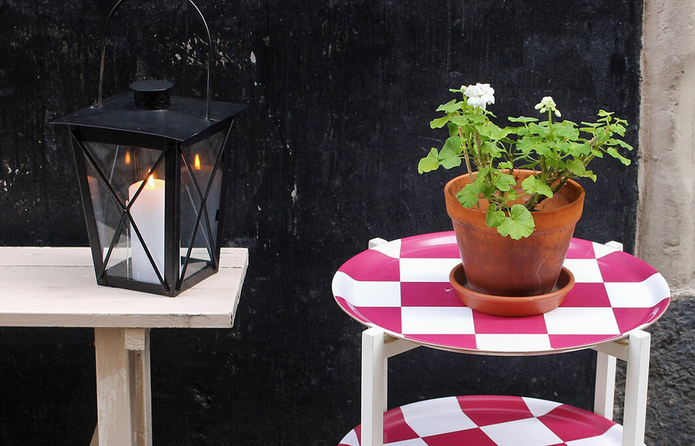 Five Things You Didn't Know About plants