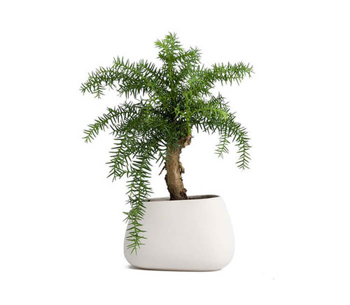 bibendum turpis Etiam gravida iaculis laoreet