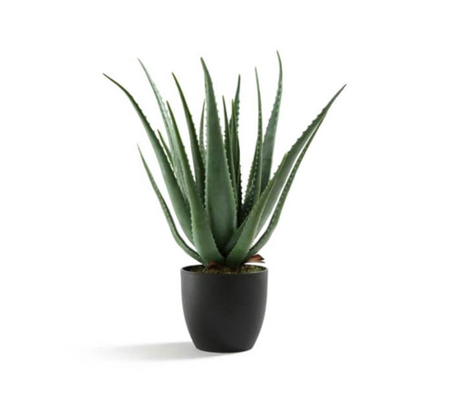 High mowing Vegetable Garden Seeds