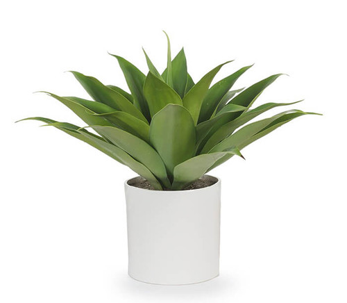 Botanical Interests Tomato Seeds