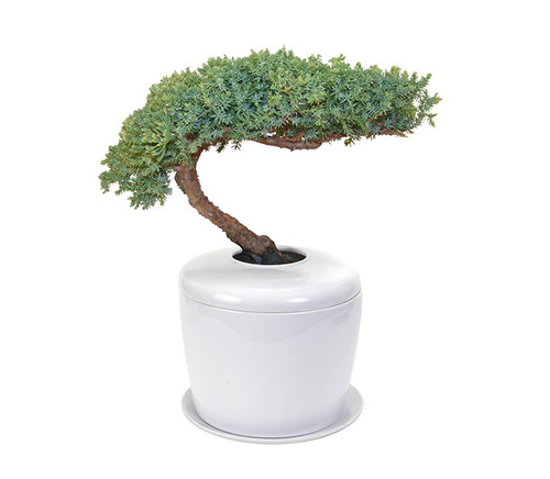 bibendum iaculis laoreet