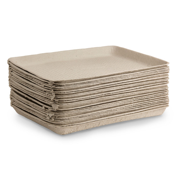 Pulp Collage Trays, 9" x 11", Pack of 25