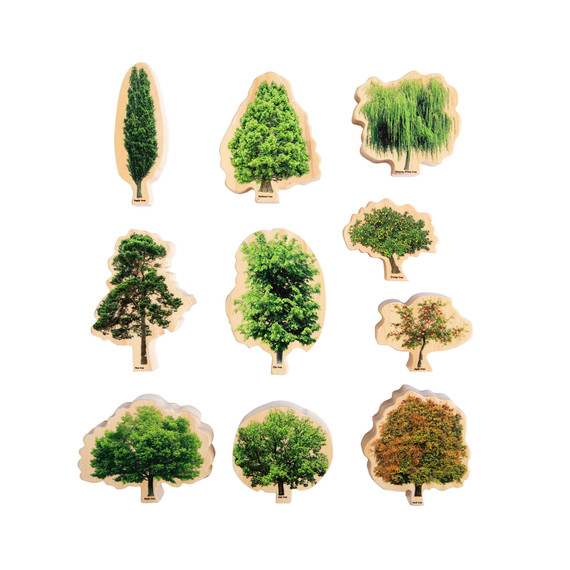 Seasons Wooden Trees