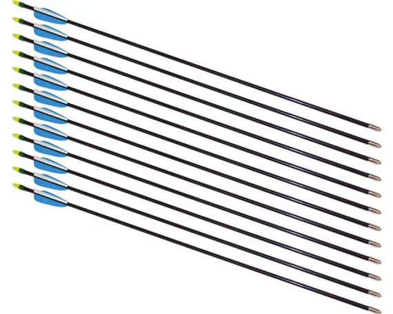 26" Fiberglass Arrows - 12 Arrows