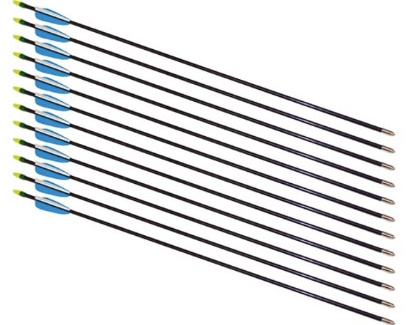 28" Fiberglass Arrows - 12 Arrows