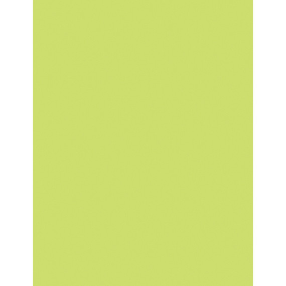Multi-Purpose Paper, Lime, 8-1/2" x 11", 500 Sheets