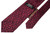 Stefano Ricci Tie Red Paisley 13TI0981