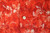 kiton Shirt Size Medium Red Floral 01SH0939 kiton Shirt Size Medium Red Floral 01SH0939