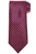 Stefano Ricci Red Blue Italian Garden Motif Hand Printed Silk Tie