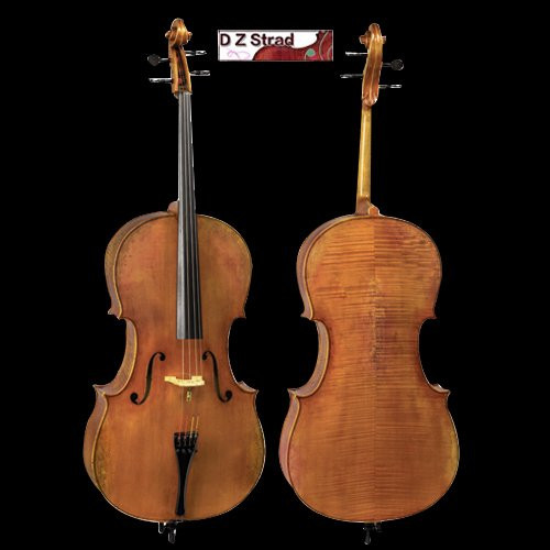 D Z Strad Model 900 handmade 4/4 Cello (4/4 - Size)