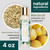 ALODIA Moisturize & Protect Heat Style Product - 4 fl oz - Blow Dry Cream with Marshmallow Root & Marula Oil - Lightweight Heat Protectant for All Hair Types - Nut-Free
