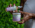 EDEN BodyWorks Lavender Aloe Hair Growth Oil (4 oz) - Vegan Scalp Treatment to Reduce Breakage & Stimulate Healthy Growth