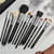 Sigma Beauty Essential Makeup Brushes Set – Professional Grade Makeup Brush Set with Premium Fibers and Sleek, Durable Handles for Face & Eyes, Includes 12 CK001 Black Makeup Brushes