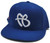 FUBU New 25th Anniversary Collector's Edition Logo Blue White Era Snapback Hat Cap