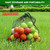 Bac-kitchen 40 Pack Foam Golf Practice Balls - Realistic Feel and Limited Flight Training Balls for Indoor or Outdoor