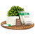 ECO amenities Bar Soap Pack - 200 Count, 1 oz Travel Body Bars - Individually Wrapped Hotel Guest Soaps for Travel Hygiene - Light Green Tea Scent & Cruelty Free