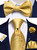 Hi-Tie Men Ties Bowtie Set Silk Necktie Bow Tie Pocket Square Cufflinks Set with Silver Tie Clip or Flower Lapel Pin,A Gold Paisely