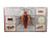 Bugs: A Stunning Pop-up Look at Insects, Spiders, and Other Creepy-Crawlies
