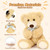 MorisMos Bulk Teddy Bear for Baby Shower,10-Pack Teddy Bear Stuffed Animals Bulk,14 in Teddy with Baby Blue Bow,Soft Stuffed Animal Wholesale for Birthday Christmas Valentine's,Brown
