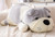 Bulldog Stuffed Animal Soft Large Dog Plush Hugging Pillow Gifts for Boys Girls Children's Day Gray 23.6in/60cm
