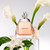 Vera Wang Vera Wang Eau de Parfum 3.4 fl oz (Pack of 1), Notes of Waterlily, Tahitian Flower, and Vanilla, Women's Fragrance, Long Lasting, Everyday Fragrance, Travel Size