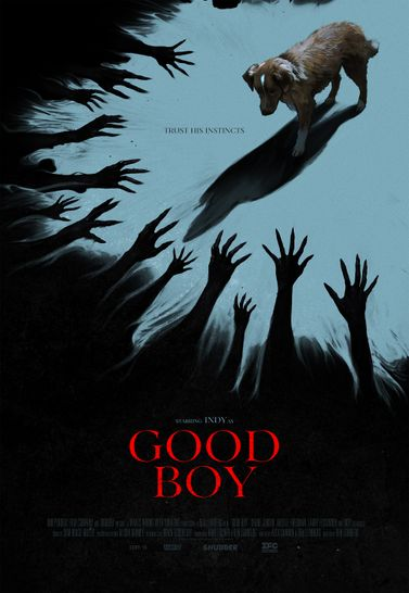 Good boy