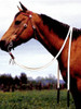 Double Diamond Flat Waxed Split Reins Double Diamond Flat Waxed Split Reins