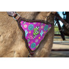 71724 Schulz Equine Neon Yeehaw Headstall and Breast Collar Tack Set
