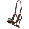 Showman Brown And Teal Wool Nose Nylon Western Halter Average Horse Size SS-110