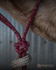 Hay Chix Redemption Rope Halter Average Horse
