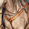 Martin Saddlery Breastcollar, 2.5-inch with Scroll Tooled with Brown Frame