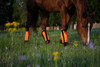 Muvado Warrior Fly Boots – Breathable Horse Leg Guards Fly Protection
