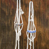 Professional's Choice Beaded Cowboy Braided Rope Halter