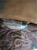 15 Inch Used Circle Y Western Show Saddle 122-12788