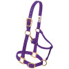 Weaver Original Adjustable Chin and Throat Snap Halter, 1" Large Horse or 2-Year-Old Draft Weaver Original Adjustable Chin and Throat Snap Halter, 1" Large Horse or 2-Year-Old Draft