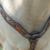Circle Y Dark Flash Arizona Flower Breast Collar Western Horse Tack 1008-23-SC