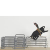 BigTime Barnyard Assorted Bull Rider Set