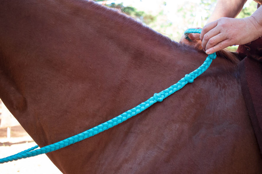 Jerry Beagley Martha Josey Barrel Reins